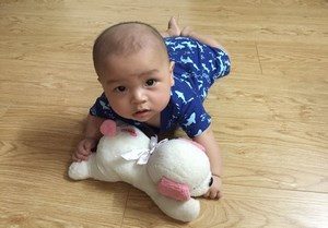 Sàn gỗ Thanh Hóa