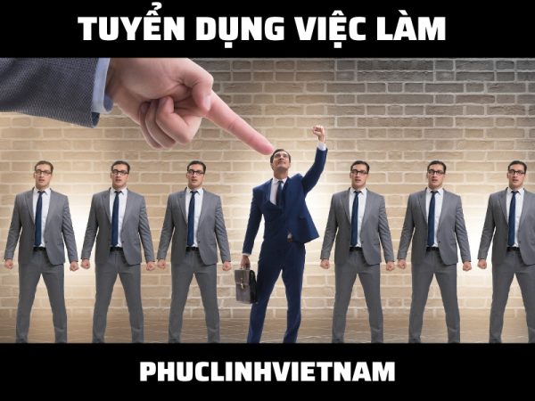 Tuyển dụng việc làm kinh doanh