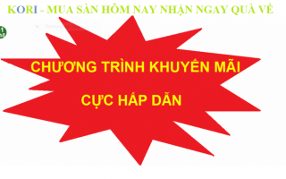 Sàn gỗ KHUYẾN MẠI cực hot- Mua hôm nay đón ngày quà tặng