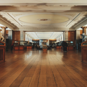 Sàn gỗ Inovar MF501