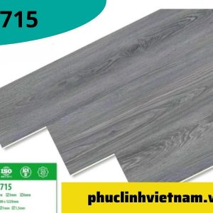 Sàn Nhựa Trường Thịnh Z 715 Và Z 717