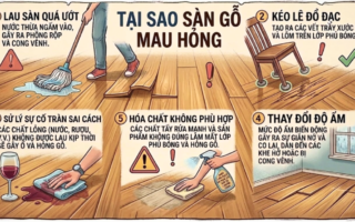 Sàn Gỗ Việt Nam: Cách Bảo Quản Để Sàn Bền Đẹp Lâu Dài